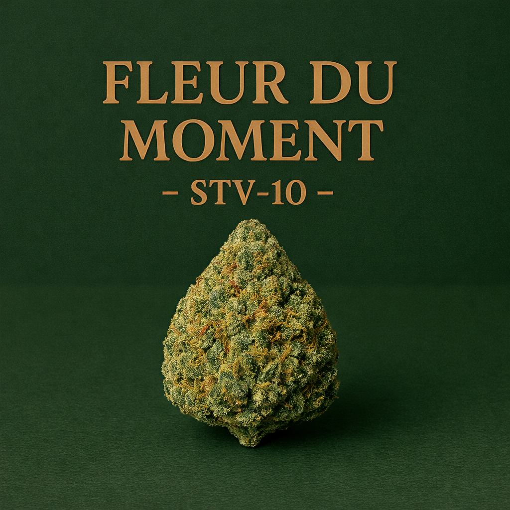 🌿 Fleur du Moment – STV-10