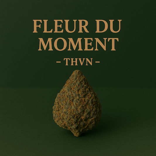 Fleur du Moment – THVN